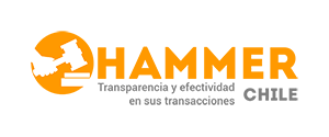 Logo Hammer Chile